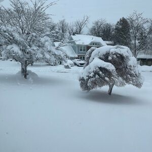 Buy one top get second for 50%!